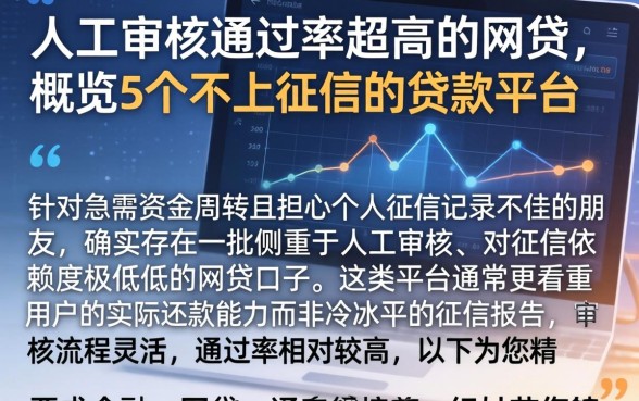 人工审核通过率超高的网贷，概览5个不上征信的贷款平台