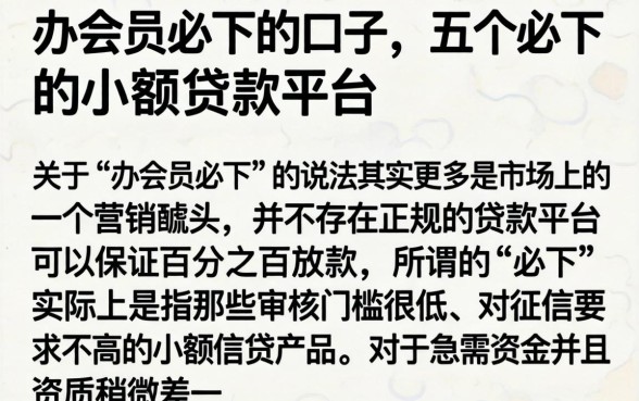 办会员必下的口子，详细阐述五个必下的小额贷款平台