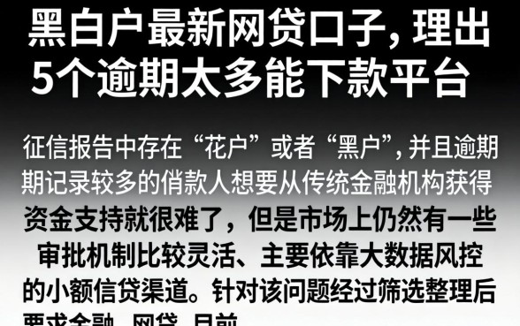 黑白户最新网贷口子，理出5个逾期太多能下款平台