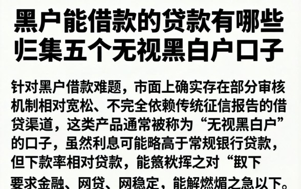 黑户能借款的贷款有哪些，归集五个无视黑白户口子