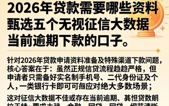 2026年贷款需要哪些资料，甄选五个无视征信大数据当前逾期下款的口子
