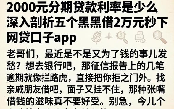 2000元分期贷款利率是多少，深入剖析五个黑户借2万元秒下网贷口子app