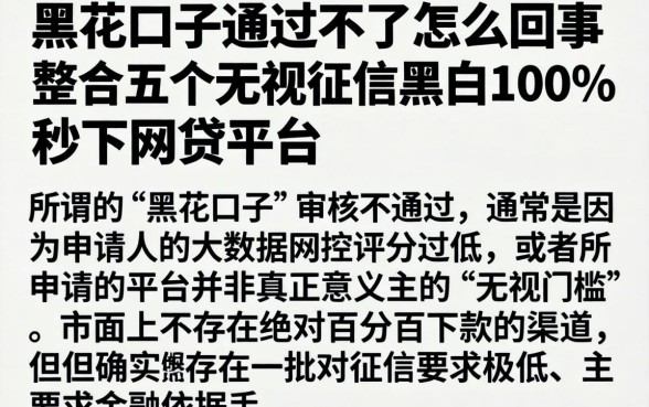 黑花口子通过不了怎么回事，整合五个无视征信黑白100%秒下网贷平台