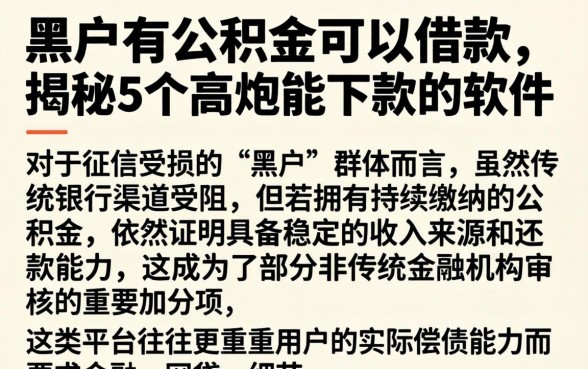 黑户有公积金可以借款，揭秘5个高炮能下款的软件