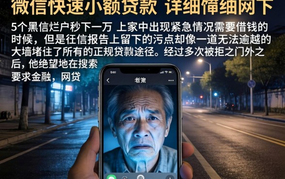 微信快速小额贷款，详细阐述5个黑户烂户秒下一万