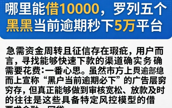 哪里能借10000，罗列五个黑户当前逾期秒下5万平台