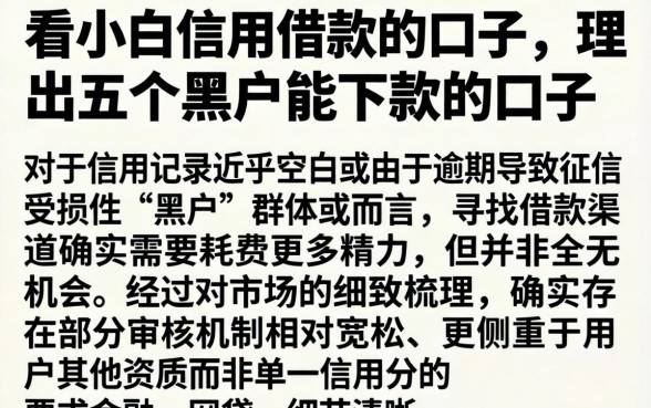 看小白信用借款的口子，理出五个黑户能下款的口子