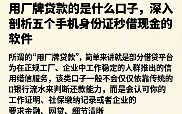 用厂牌贷款的是什么口子，深入剖析五个手机身份证秒借现金的软件