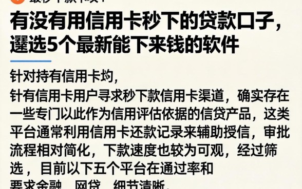 有没有用信用卡秒下的贷款口子，遴选5个最新能下来钱的软件