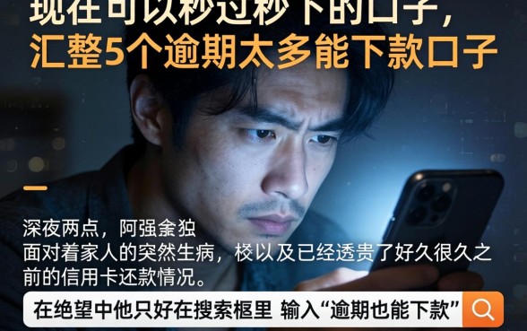 现在可以秒过秒下的口子，汇整5个逾期太多能下款口子