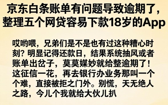 京东白条账单有问题导致逾期了，整理五个网贷容易下款18岁的app