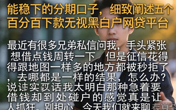 能稳下的分期口子，细致阐述五个百分百下款无视黑白户网贷平台
