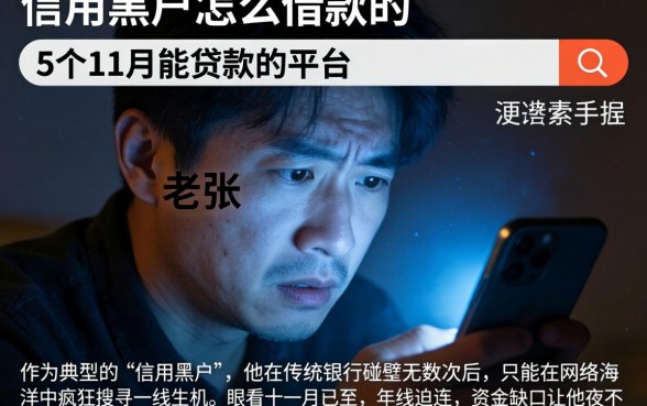 信用黑户怎么借款的，详细阐述5个11月能贷款的平台