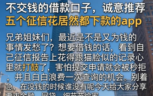 不交钱的借款口子，诚意推荐五个征信花居然都下款的app