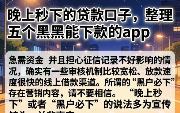 晚上秒下的贷款口子，整理五个黑户能下款的app