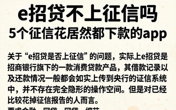 e招贷不上征信吗，概括5个征信花居然都下款的app