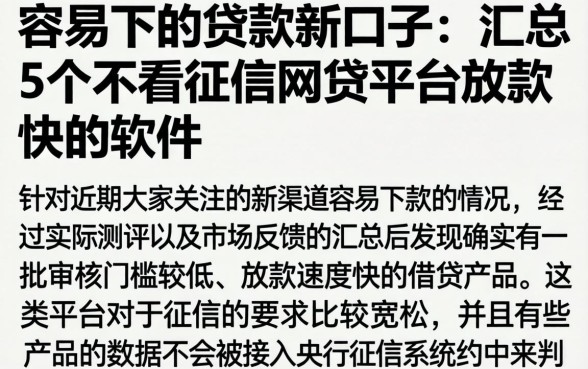 容易下的贷款新口子，汇总5个不看征信网贷平台放款快的软件