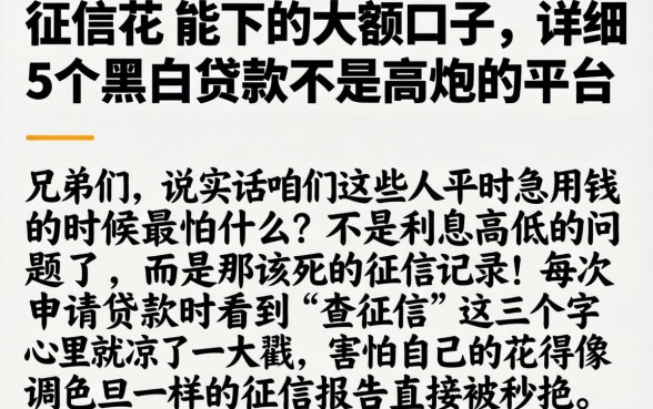 征信花 能下的大额口子，详细阐述5个黑白贷款不是高炮的平台