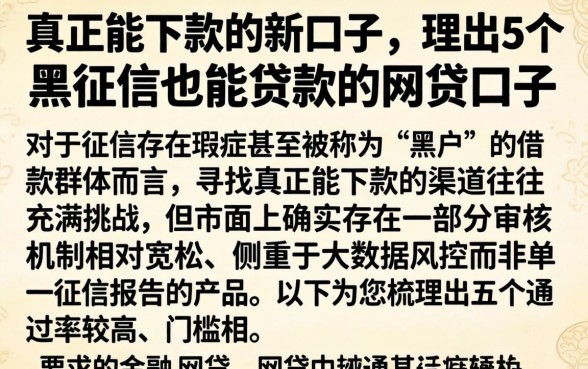 真正能下款的新口子，理出5个黑征信也能贷款的网贷口子