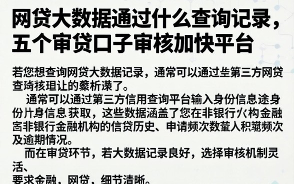 网贷大数据通过什么查询记录，详细阐述五个审贷口子审核加快的平台