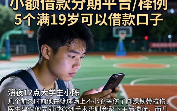 小额借款分期平台，枚举5个满19岁可以借款的口子