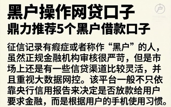 黑户操作网贷口子，鼎力推荐5个黑户借款口子