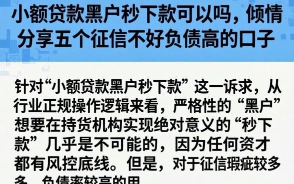 小额贷款黑户秒下款可以吗，倾情分享五个征信不好负债高的口子