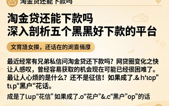 淘金贷还能下款吗,深入剖析五个黑户好下款的平台