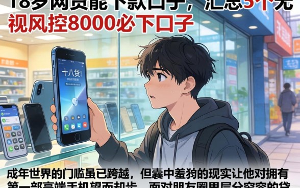 18岁网贷能下款的口子，汇总5个无视风控8000必下口子