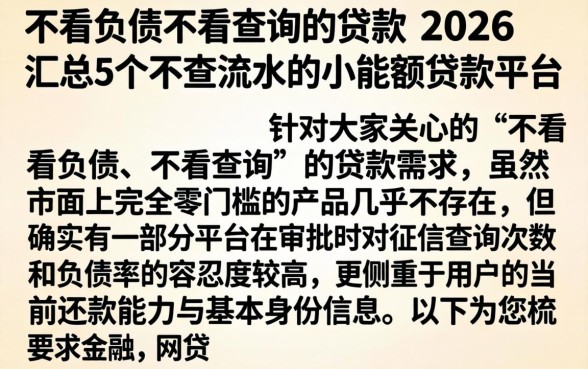 不看负债不看查询的贷款 2026，汇总5个不查流水的小额度贷款平台