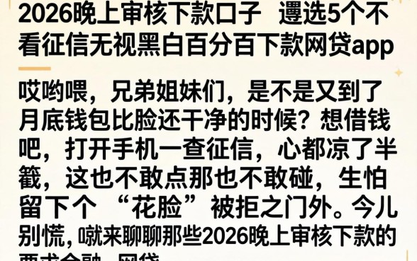 2026晚上审核下款的口子，遴选5个不看征信无视黑白百分百下款网贷app