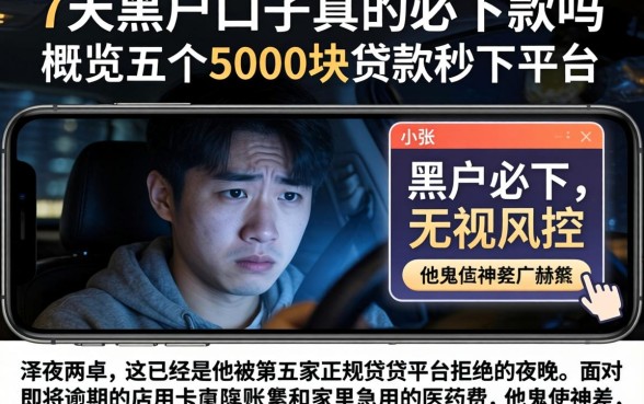 7天黑户口子真的必下款吗，概览五个5000块贷款秒下平台
