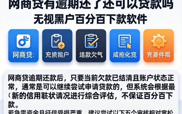 网商贷有逾期还了还可以贷款吗，陈列五个无视黑户百分百下款软件