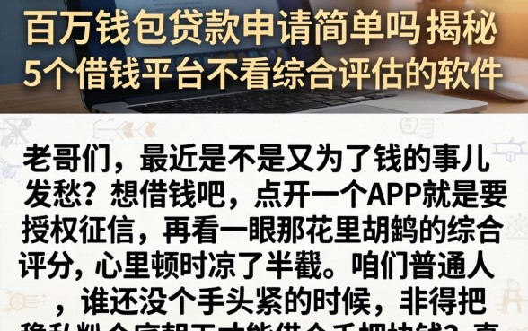 百万钱包贷款申请简单吗,揭秘5个借钱平台不看综合评估的软件