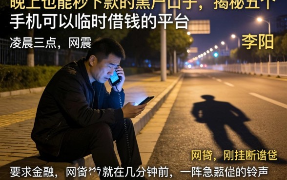 晚上也能秒下款的黑户口子，揭秘五个手机可以临时借钱的平台
