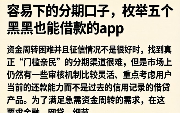 容易下的分期口子，枚举五个黑户也能借款的app