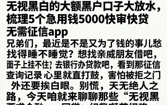 无视黑白的大额黑户口子大放水，梳理5个急用钱5000快审快贷无需征信app