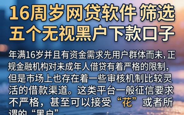 16周岁网贷软件，筛选五个无视黑户下款口子