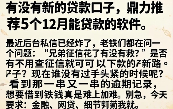 有没有新的贷款口子，鼎力推荐5个12月能贷款的软件
