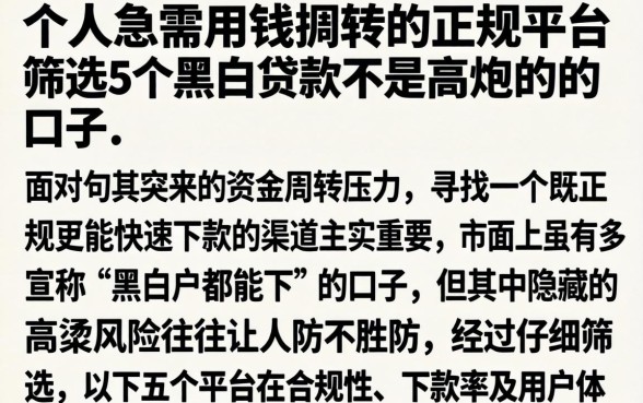 个人急需用钱周转的正规平台，筛选5个黑白贷款不是高炮的口子