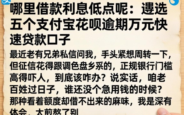 哪里借款利息低点呢，遴选五个支付宝花呗逾期万元快速贷款口子