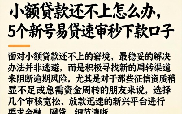 小额贷款还不上怎么办，概括5个新号易贷速审秒下款口子