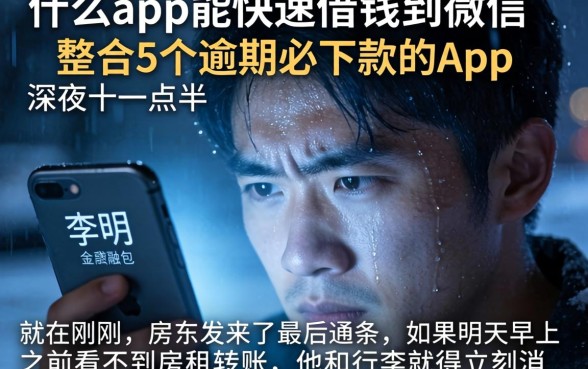 什么app能快速借钱到微信，整合5个逾期必下款的app