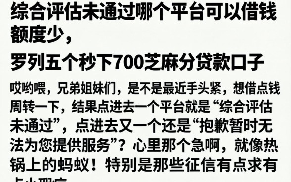 综合评估未通过哪个平台可以借钱额度少的，罗列五个秒下700芝麻分贷款口子