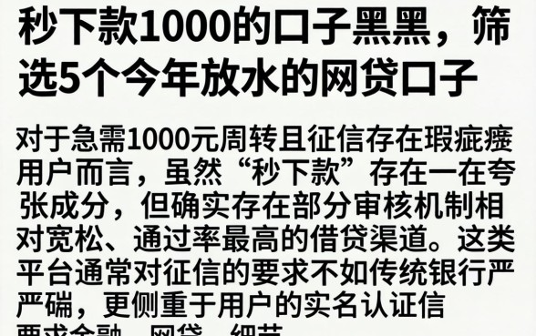秒下款1000的口子黑户，筛选5个今年放水的网贷口子