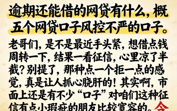 逾期还能借的网贷有什么，概括五个网贷口子风控不严的口子