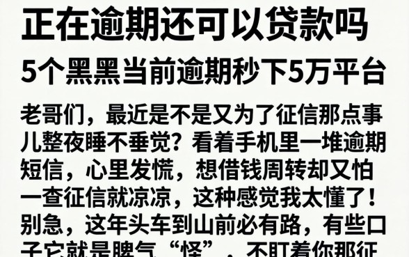 正在逾期还可以贷款吗，枚举5个黑户当前逾期秒下5万平台