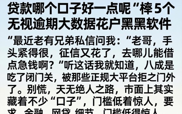 贷款哪个口子好一点呢，枚举5个无视逾期大数据花户黑户软件