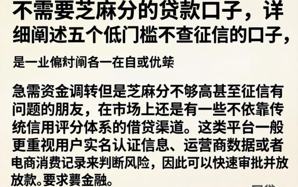 不需要芝麻分的贷款口子，详细阐述五个低门槛不查征信的口子