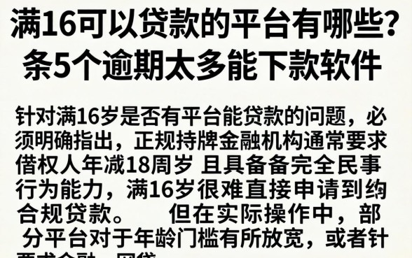 满16可以贷款的平台有哪些，条列5个逾期太多能下款软件